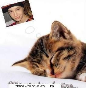 Poze - Micky_bill - Tom
